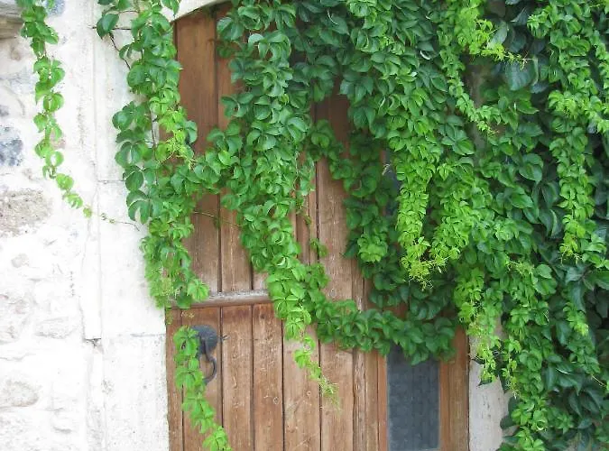 Tatil Evi Sunshine Koutouloufari Hersonissos (Crete)